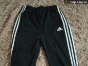 Спортивні штани