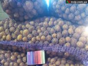 Продам маленьку картоплю (перебрана від гнилі)- 3 грн/кг, можлива доставка від 5 сіток