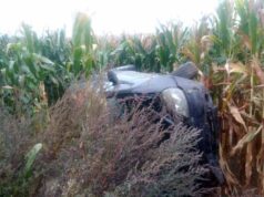 ДТП неподалік села Суходоли: водій з’їхав у кювет і перевернувся у полі з кукурудзою! ДТП неподалік села Суходоли: водій з’їхав у кювет і перевернувся у полі з кукурудзою!
