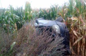 ДТП неподалік села Суходоли: водій з’їхав у кювет і перевернувся у полі з кукурудзою! ДТП неподалік села Суходоли: водій з’їхав у кювет і перевернувся у полі з кукурудзою!