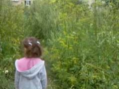 Благоустрій міста по-нововолинськи, або “Чи так вже погано господарює міський голова?” Благоустрій міста по-нововолинськи