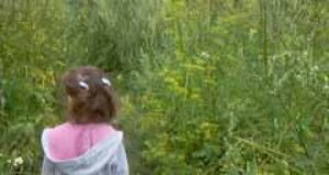 Благоустрій міста по-нововолинськи, або “Чи так вже погано господарює міський голова?” Благоустрій міста по-нововолинськи