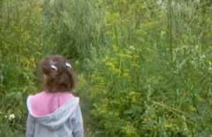 Благоустрій міста по-нововолинськи, або “Чи так вже погано господарює міський голова?” Благоустрій міста по-нововолинськи