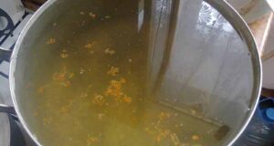 Проблема питної води у місті. Проблема питної води у місті.