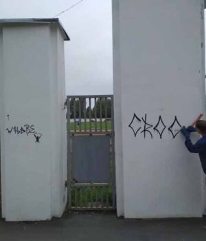 104374439_1076941292702262_7658139488585285801_n_1 Ворота стадіону “Шахтар” знову розмалювали хулігани