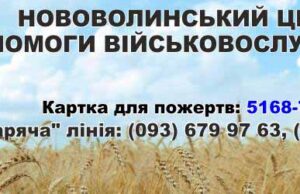 Відкритий лист волонтерів до кандидатів у нардепи Відкритий лист волонтерів до кандидатів у нардепи