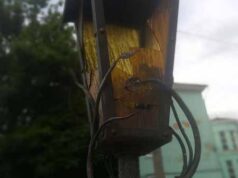 З вуличного ліхтаря у центрі Нововолинська зробили смітник. ФОТО З вуличного ліхтаря у центрі Нововолинська зробили смітник. ФОТО