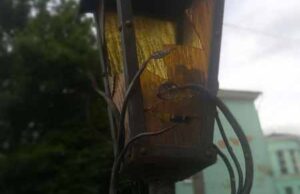 З вуличного ліхтаря у центрі Нововолинська зробили смітник. ФОТО З вуличного ліхтаря у центрі Нововолинська зробили смітник. ФОТО