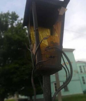 З вуличного ліхтаря у центрі Нововолинська зробили смітник. ФОТО