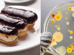 Закрили кав’ярню “Наше місто”, в якій 5 людей заразилися сальмонельозом Закрили кав’ярню "Наше місто"