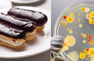 Закрили кав’ярню “Наше місто”, в якій 5 людей заразилися сальмонельозом Закрили кав’ярню "Наше місто"