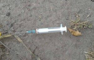 У Нововолинську біля будинку на Маяковського майже щодня розкидані шприци з кров’ю У Нововолинську біля будинку на Маяковського майже щодня розкидані шприци з кров’ю