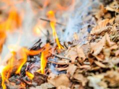 Двоє мешканців Нововолинська заплатять штраф за спалювання сухої рослинності Двоє мешканців Нововолинська заплатять штраф за спалювання сухої рослинності