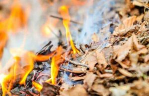 Двоє мешканців Нововолинська заплатять штраф за спалювання сухої рослинності Двоє мешканців Нововолинська заплатять штраф за спалювання сухої рослинності