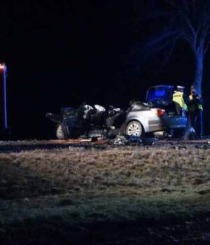 Подробиці ДТП в Польщі