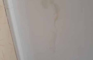 Пів року мешканців одного з будинків у Нововолинську затоплює після дощу, а ЖЕК бездіє Пів року мешканців одного з будинків у Нововолинську затоплює після дощу