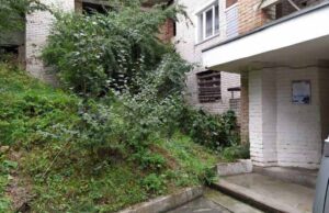 Може, хоч перед виборами мер щось зробить: мешканка Нововолинська просить розчистити хащі перед будинком Може