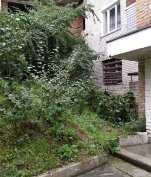 120624401_2982428711861346_1087024819001433107_n Може