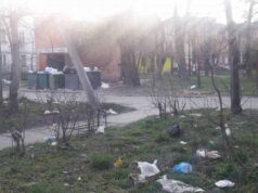 Сміттєві краєвиди: мешканку роздратували переповнені баки і літаюче сміття Сміттєві краєвиди: мешканку роздратували переповнені баки і літаюче сміття