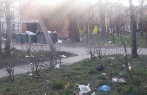 Сміттєві краєвиди: мешканку роздратували переповнені баки і літаюче сміття Сміттєві краєвиди: мешканку роздратували переповнені баки і літаюче сміття