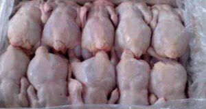 На роботі вкрала… 10 курячих тушок На роботі вкрала... 10 курячих тушок