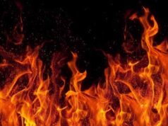 Птахокомплекс «Губин» запускає «крематорій» у Нововолинську Птахокомплекс «Губин» запускає «крематорій» у Нововолинську