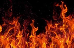 Птахокомплекс «Губин» запускає «крематорій» у Нововолинську Птахокомплекс «Губин» запускає «крематорій» у Нововолинську