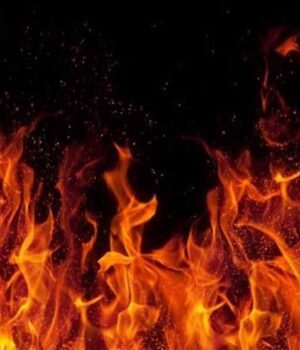 Птахокомплекс «Губин» запускає «крематорій» у Нововолинську