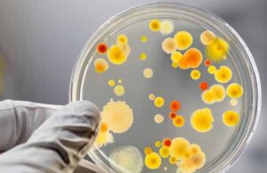 Класична відписка Класична відписка