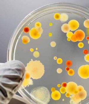 Класична відписка