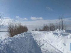 Знайшли мертвою мешканку Іваничівщини: не дійшла додому у морозну ніч Знайшли мертвою мешканку Іваничівщини: не дійшла додому у морозну ніч