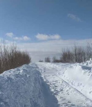 Знайшли мертвою мешканку Іваничівщини: не дійшла додому у морозну ніч