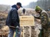 Працівники Кроноспану висадили на території Володимирського лісництва 16 тисяч дерев Працівники Кроноспану висадили на території Володимирського лісництва 16 тисяч дерев