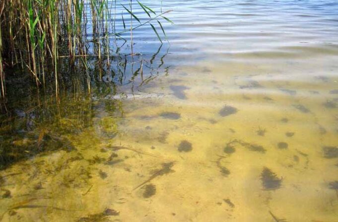 На річці Лузі і озері у Соловичах вода не відповідає санітарно-гігієнічним нормативам На річці Лузі і озері у Соловичах вода не відповідає санітарно-гігієнічним нормативам