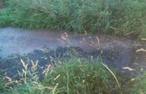 Екологічна катастрофа на 15-му мікрорайоні! Екологічна катастрофа на 15-му мікрорайоні!