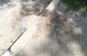 Територію біля лікарні засівають скарифікаторами. Коли будуть збирати врожай!? Територію біля лікарні засівають скарифікаторами. Коли будуть збирати врожай!?