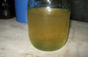 Чи можна пити воду з водогону в Нововолинську? Чи можна пити воду з водогону в Нововолинську?