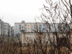 Мешканці мікрорайонів Нововолинська вимагають у влади парк відпочинку Мешканці мікрорайонів Нововолинська вимагають у влади парк відпочинку