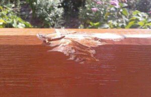 Добро, зроблене тобою, завтра ж забудуть. І все ж, твори добро! (Матір Тереза) Добро