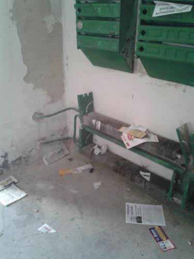 Коні не винні Коні не винні