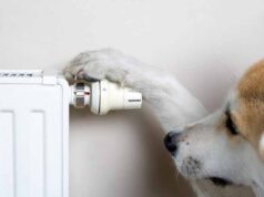 У Нововолинську збільшились ціни на теплопостачання У Нововолинську збільшились ціни на теплопостачання