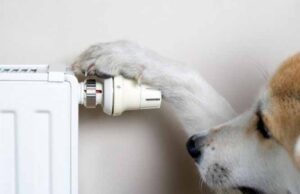 У Нововолинську збільшились ціни на теплопостачання У Нововолинську збільшились ціни на теплопостачання