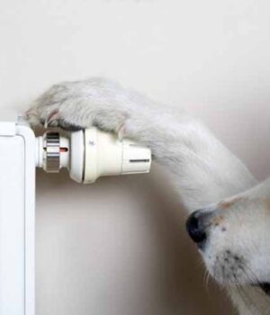 У Нововолинську збільшились ціни на теплопостачання