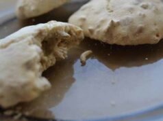 У нововолинському супермаркеті придбали печиво з хробаками У нововолинському супермаркеті придбали печиво з хробаками