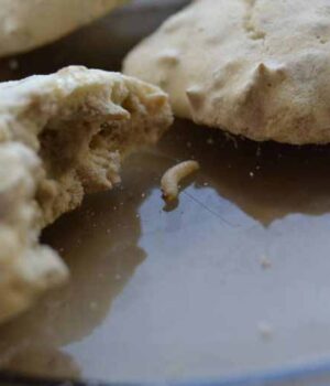 22093451_164795587434847_669138868_n-768x512-1 У нововолинському супермаркеті придбали печиво з хробаками