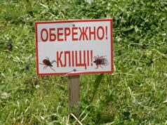 У Нововолинську зареєстровано 1 випадок хвороби Лайма у дитини У Нововолинську зареєстровано 1 випадок хвороби Лайма у дитини