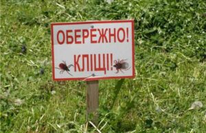 У Нововолинську зареєстровано 1 випадок хвороби Лайма у дитини У Нововолинську зареєстровано 1 випадок хвороби Лайма у дитини