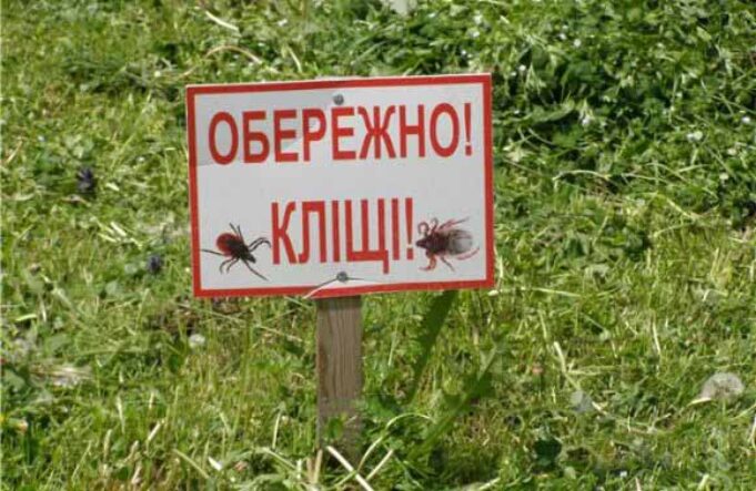 У Нововолинську зареєстровано 1 випадок хвороби Лайма у дитини У Нововолинську зареєстровано 1 випадок хвороби Лайма у дитини