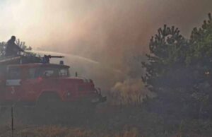 Цивільним заборонено відвідувати ліси на території області! Цивільним заборонено відвідувати ліси на території області!