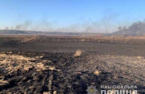 У Володимирському районі поліцейські встановили особу палія, який знищив понад 100 гектарів рослинності У Володимирському районі поліцейські встановили особу палія